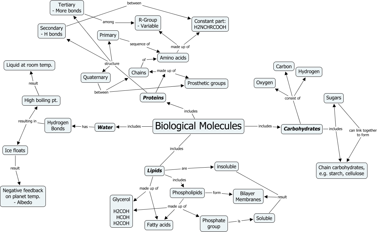 Biological molecules Tom K2